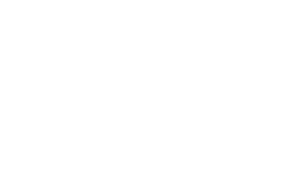 css logo white transparent